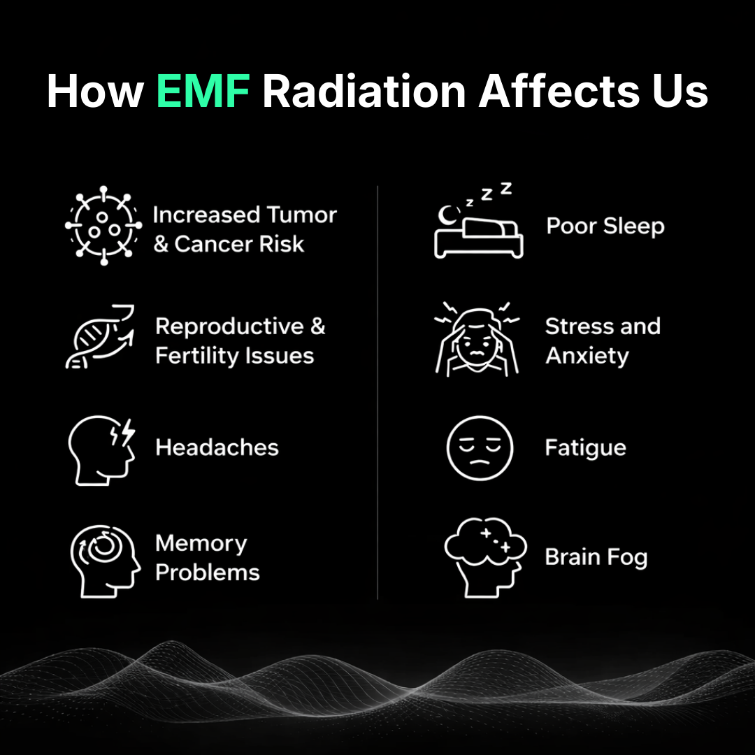 ShieldBlock EMF Anti-Radiation Chip